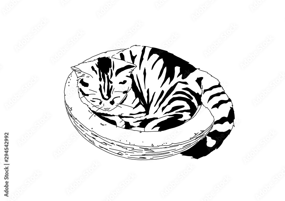 猫 猫