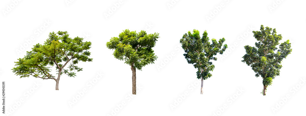 Collections green trees isolated on white background