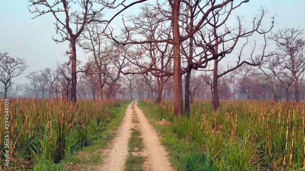 The beautiful grasslands of the Chitwan National Park in Nepal. The beautiful grasslands of the Chitwan National Park in Nepal.