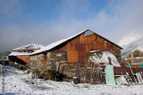 Farm buildings in snowy Ushguli village at the foot of Mt. Shkhara in Caucasus Mountains in a slightly winter scenery. Cow and sheep at buildings. Svaneti, Georgia, Caucaus.