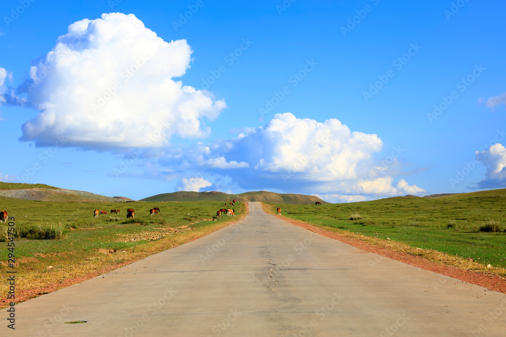 Asphalt roads and cattle on the grasslands