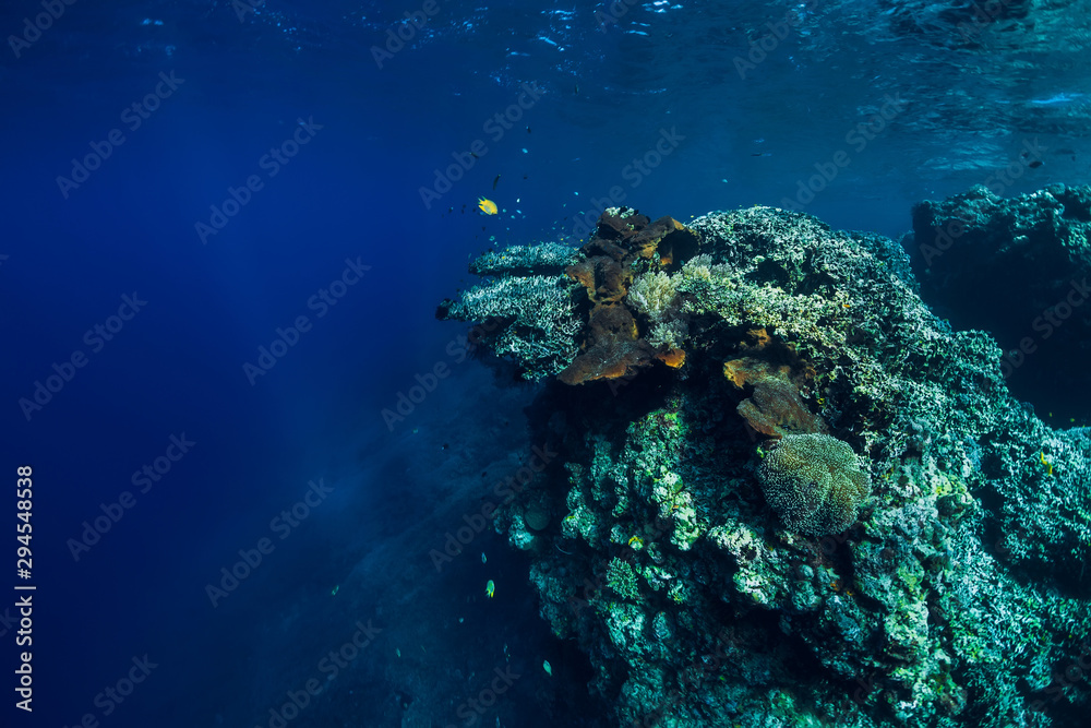 Fototapeta premium Underwater view with rocks and corals in transparent blue ocean. Underwater landscape