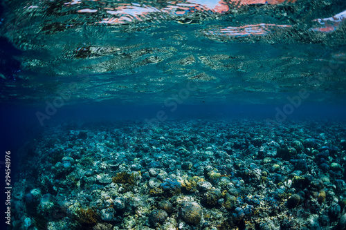 Tropical underwater view with corals and fish in blue ocean
