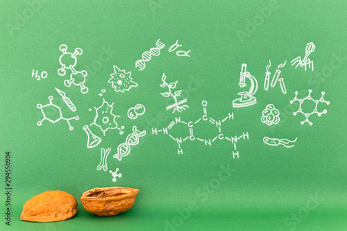 Canvastavla Concept of the phrase biology in a nutshell