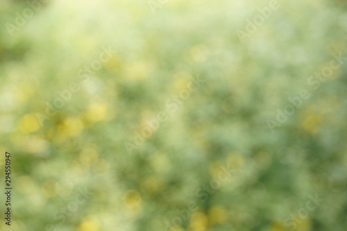 Blurred beautiful nature background blurry of leaf bokeh forest. garden and park with sunlight use for background with perspective.
