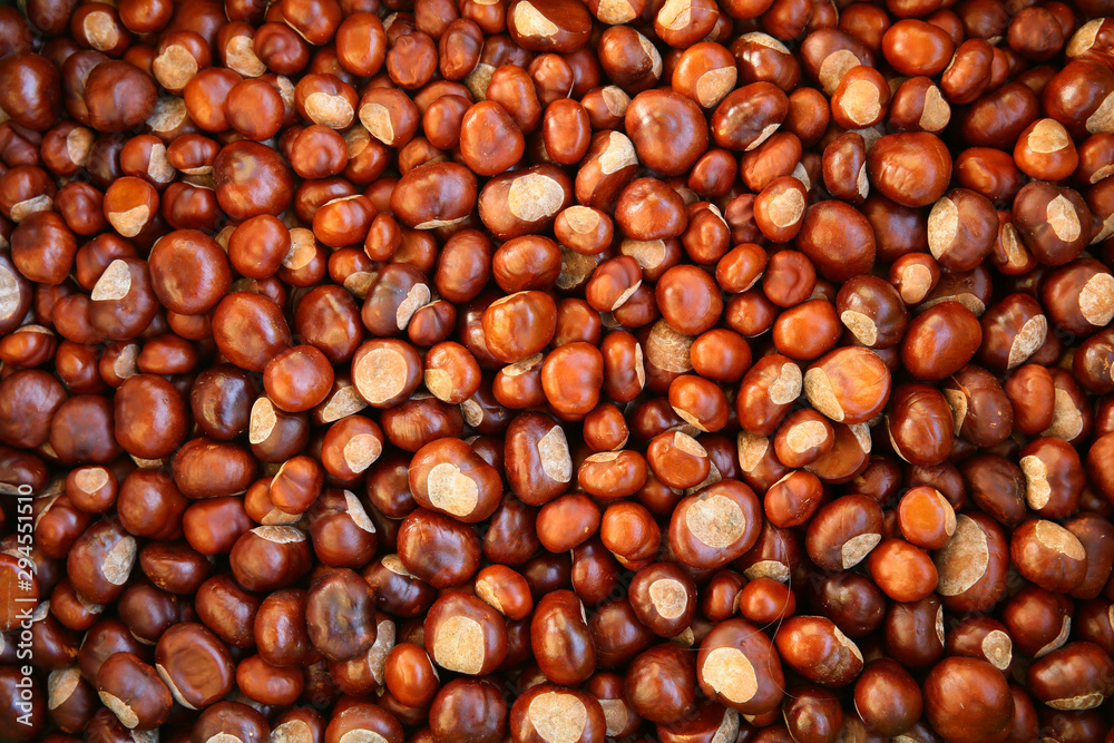 Chestnuts are a symbol of autumn and food for wild animals Chestnuts are a symbol of autumn and food for wild animals