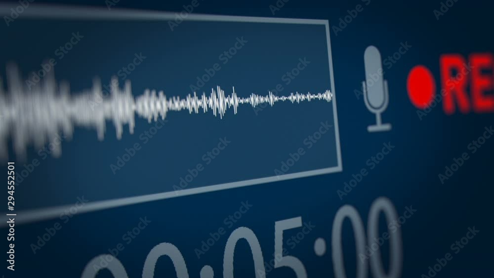 Audio Spectrum with Playback Time and REC (Record) Symbol on Monitor Screen