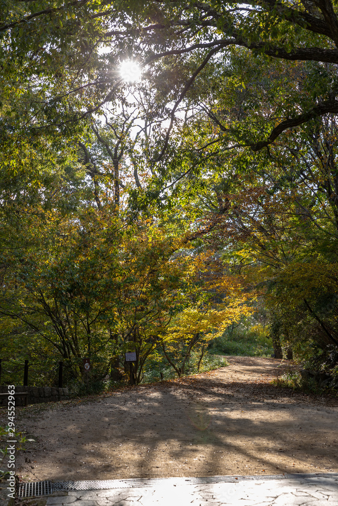 日本の秋の風景、もみじと色づき始めた山々