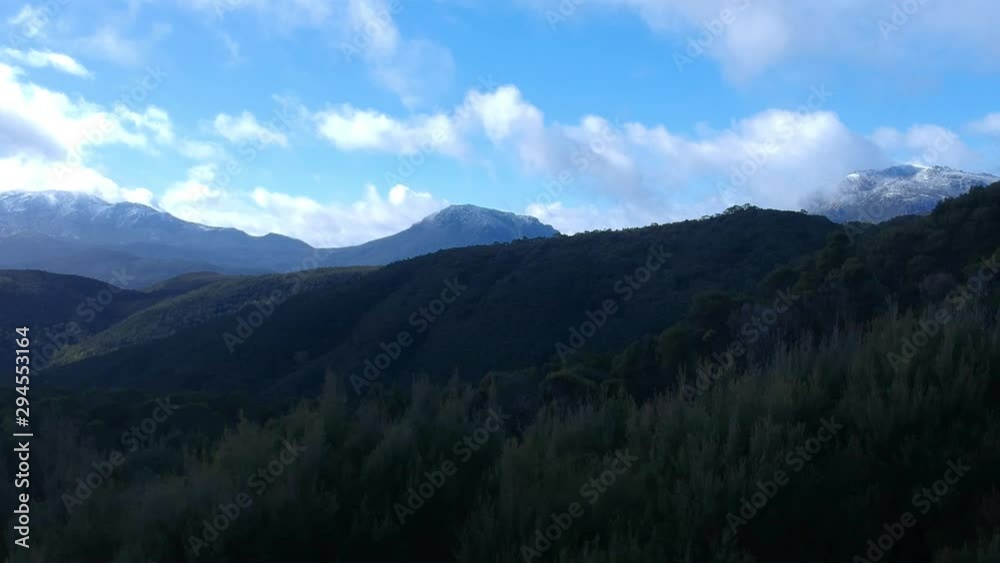 Aerial: Gaining elevation over trees to reveal a snowy mountain landscape in the distance Aerial: Gaining elevation over trees to reveal a snowy mountain landscape in the distance