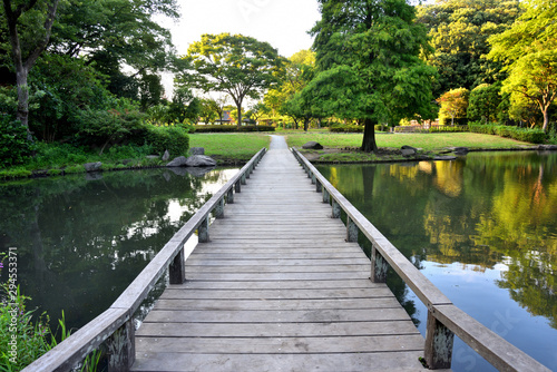 公園の池と樹木と木橋