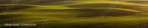 panorama of a green field in autumn scenery