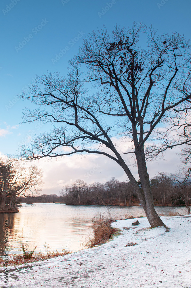 Onuma Koen Quasi -National park in peaceful cold winter with snow. Hakodate, Hokkaido - Japan Onuma Koen Quasi -National park in peaceful cold winter with snow. Hakodate, Hokkaido - Japan