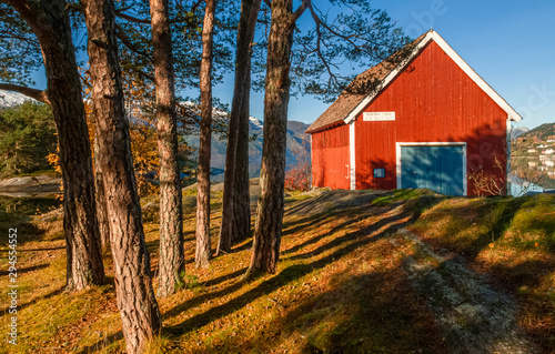 Red boatshed under pines, Sandane - Norway photo