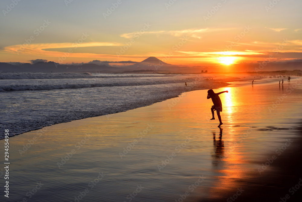 Fototapeta premium 湘南海岸の夕景