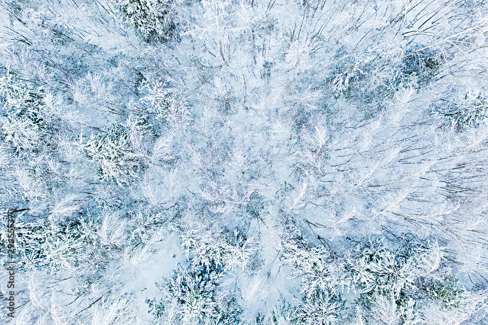Fototapeta premium Mixed forest after heavy blizzard, aerial landscape. Snow fall concept. Rural scenery