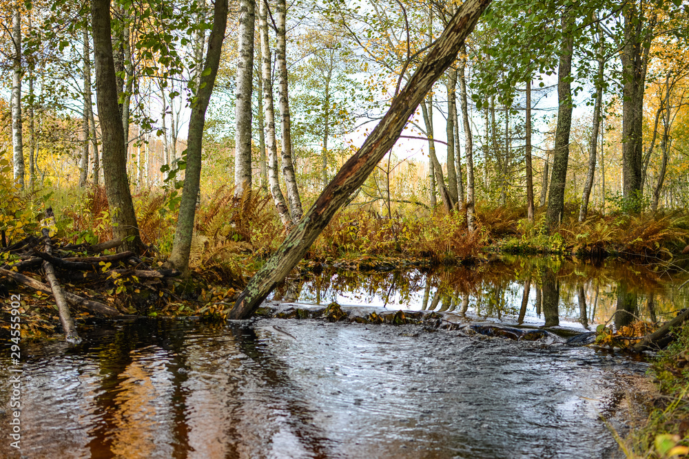 Clear water flows in the small river