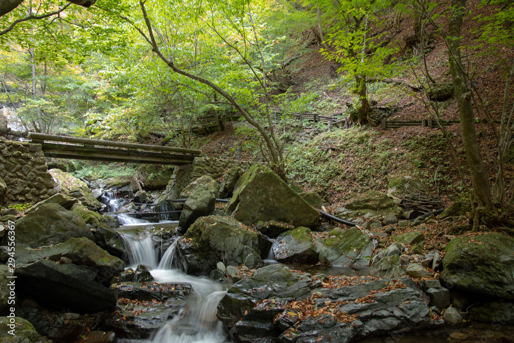 Obraz premium 竜化の滝