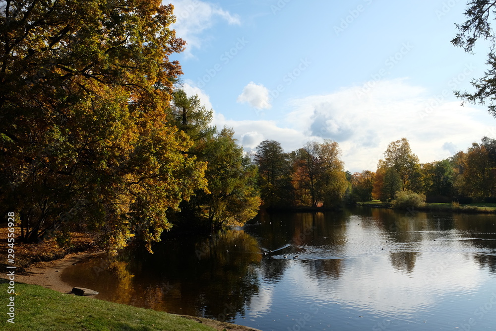 Beautiful autumn park forest. Orange, yellow and red leaves on the trees. Sunny weather. Beautiful autumn park forest. Orange, yellow and red leaves on the trees. Sunny weather.