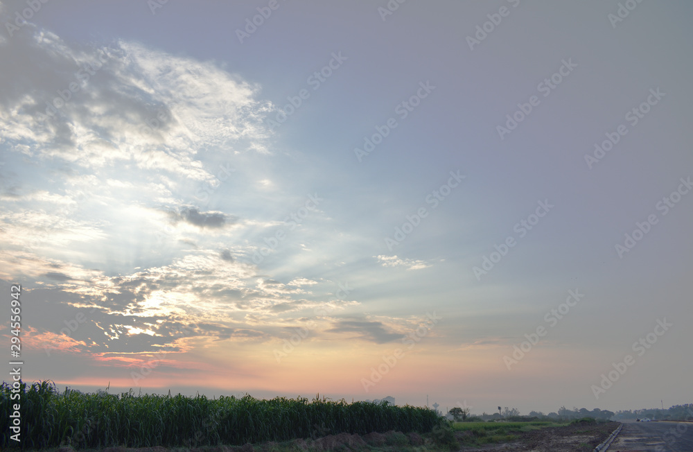 sunset over green field