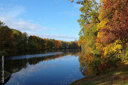 Beautiful autumn park forest. Orange, yellow and red leaves on the trees. Sunny weather.