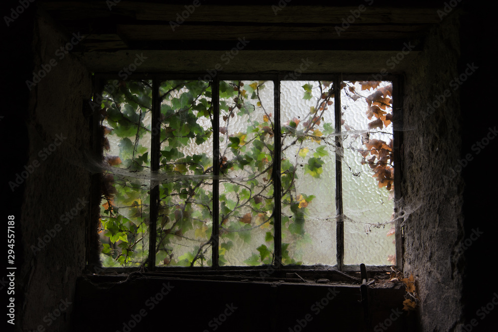 Une vieille fenêtre abandonnée. La végétation sur une vieille fenêtre abandonnée. Une vieille fenêtre abandonnée. La végétation sur une vieille fenêtre abandonnée.