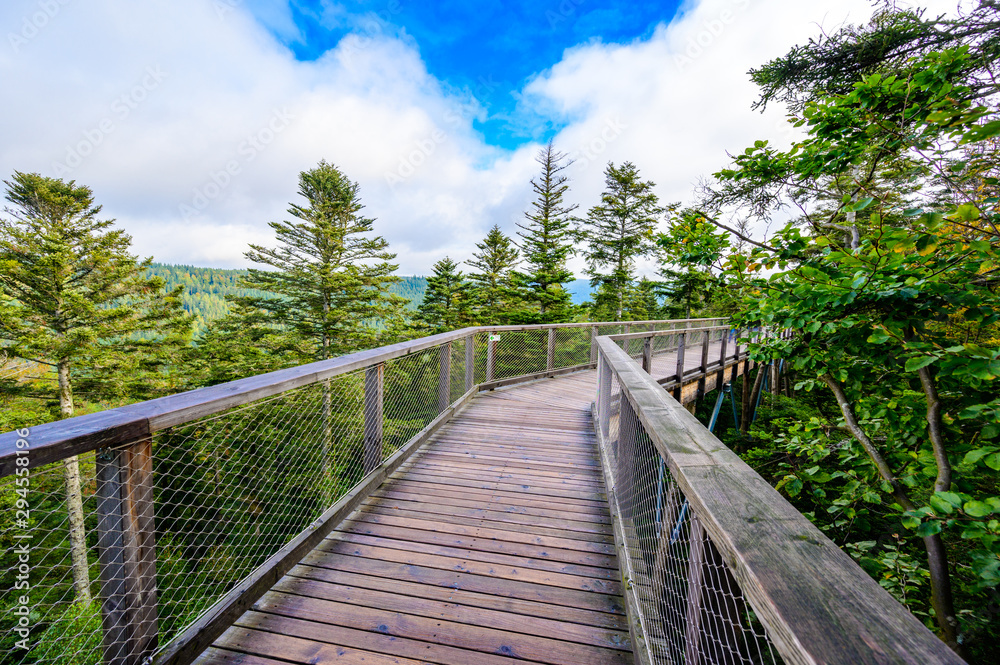 Treetop walk in Black Forest with 40m high Lookout tower located at Sommerberg, Bad Wildbad - Travel destination in Germany