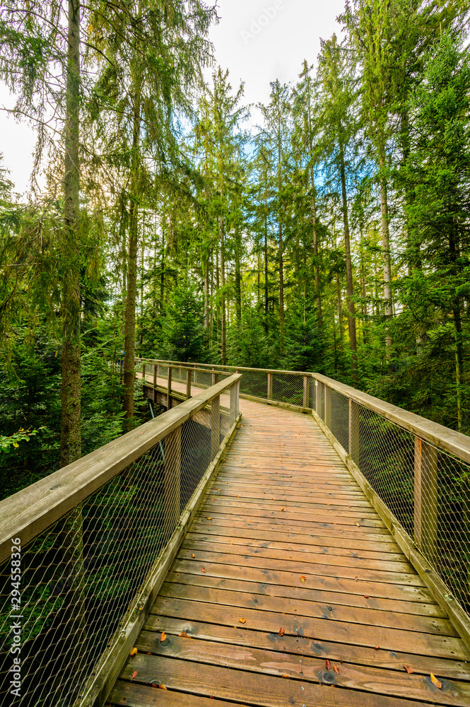 Treetop walk in Black Forest with 40m high Lookout tower located at Sommerberg, Bad Wildbad - Travel destination in Germany Treetop walk in Black Forest with 40m high Lookout tower located at Sommerberg, Bad Wildbad - Travel destination in Germany