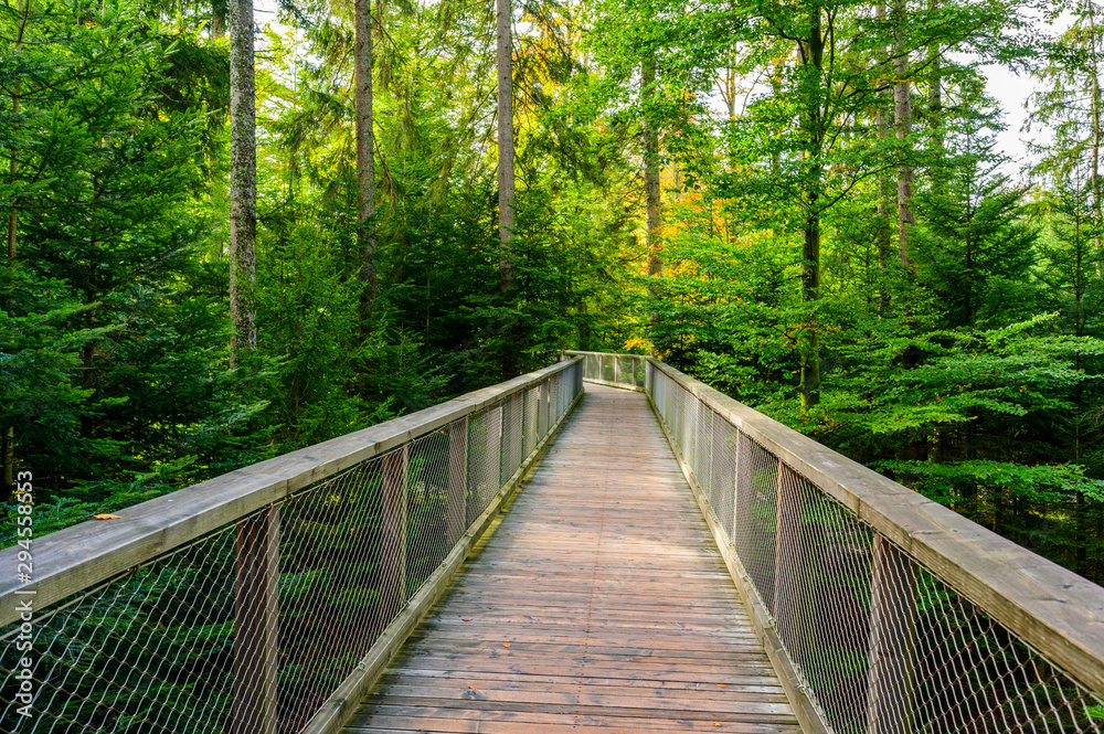 Obraz premium Spacer w koronach drzew w Schwarzwaldzie z 40-metrową wieżą widokową w Sommerberg, Bad Wildbad - Cel podróży w Niemczech