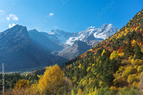 Mountain landscape with a glacier at the top and autumn bright orange coniferous and deciduous forest in the foreground in sunny weather
