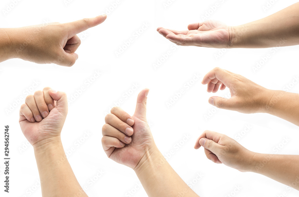 Multiple young hands and gestures set isolated on white background