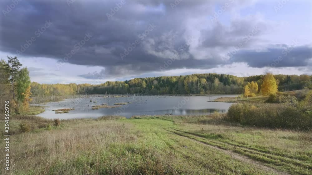 Scenic view of swamp in autumnal season. Autumnal forest landscape Scenic view of swamp in autumnal season. Autumnal forest landscape