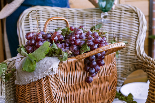 Grapes In A Basket . In a country house. Collection of selected grapes for homemade wine. Ecological products