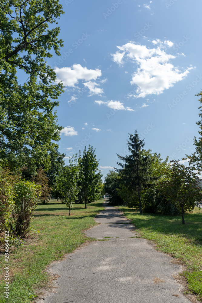 Green nature and city path in the park on a sunny summer day