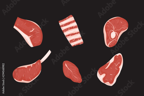 Set of uncooked meats cuts.