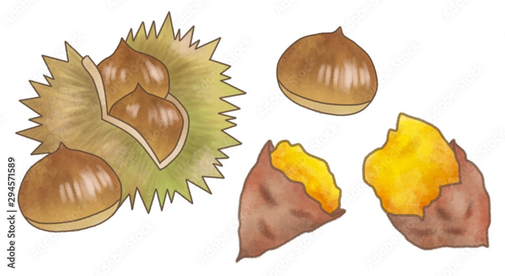 秋の味覚 栗とさつまいも イラスト素材 水彩風 Stock Illustration Adobe Stock