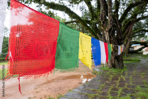 Bandipur - Nepal 