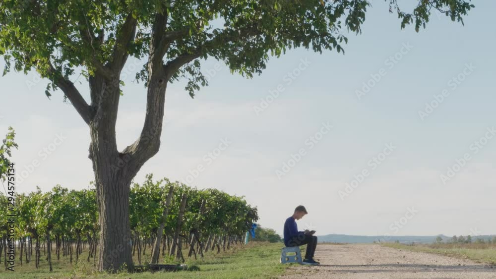 Teenager boy painting picture on tablet at tree near vineyard. Student using graphic touch tablet, stylus pen drawing landscape. Alternative education, deschooling, generation Z concept. Young artist Teenager boy painting picture on tablet at tree near vineyard. Student using graphic touch tablet, stylus pen drawing landscape. Alternative education, deschooling, generation Z concept. Young artist