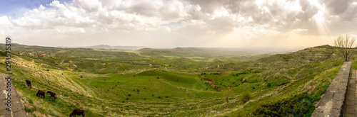Green meadow landscape panorama in Armenia