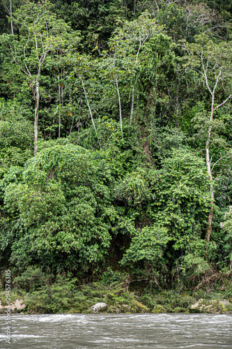 Rio Napo