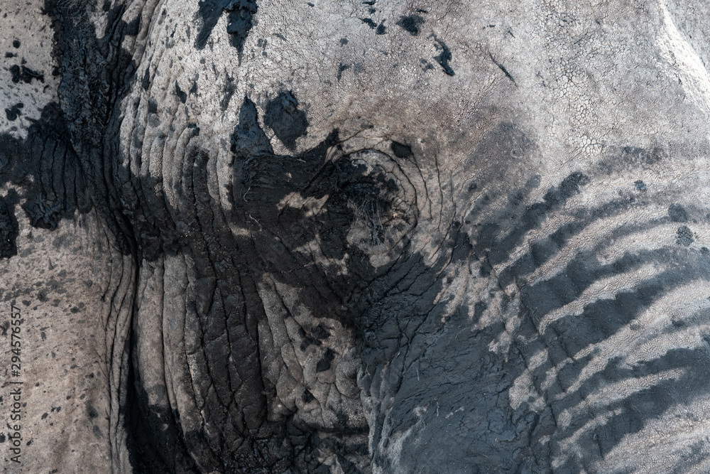 Fototapeta premium Éléphants au parc national d'etosha en Namibie, Afrique