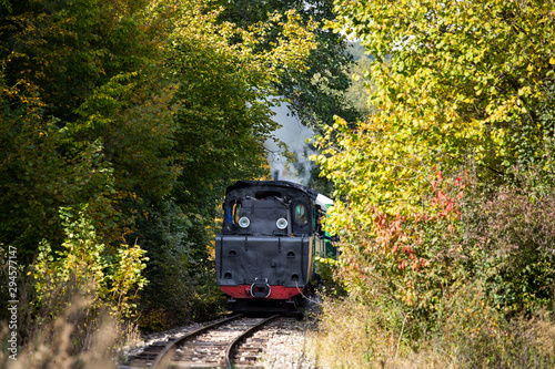 Mocanita, the touristic train from Sovata,Mures county,Transylvania, Romania