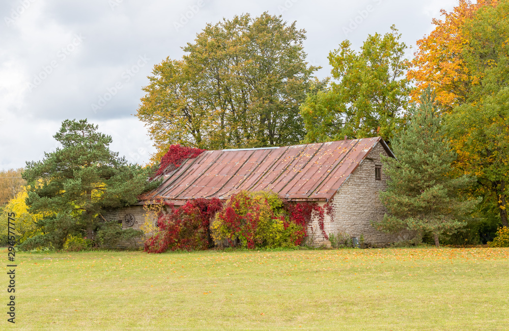 little house in autumn little house in autumn