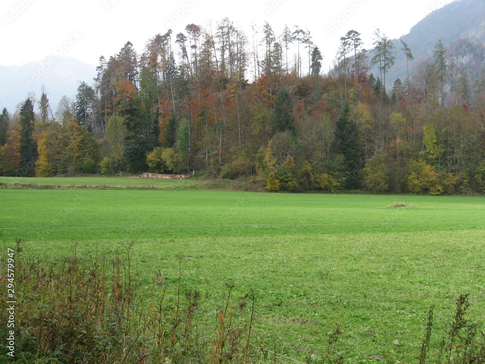 Fototapeta premium Herbst