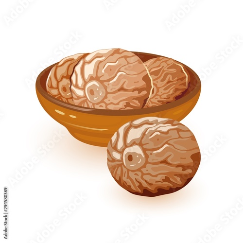 Brown nutmeg seeds with slightly sweeter flavour are in ceramic bowl. Natural product. Vector cartoon illustration isolated on white background for packing, cookbook, recipes, market labels.