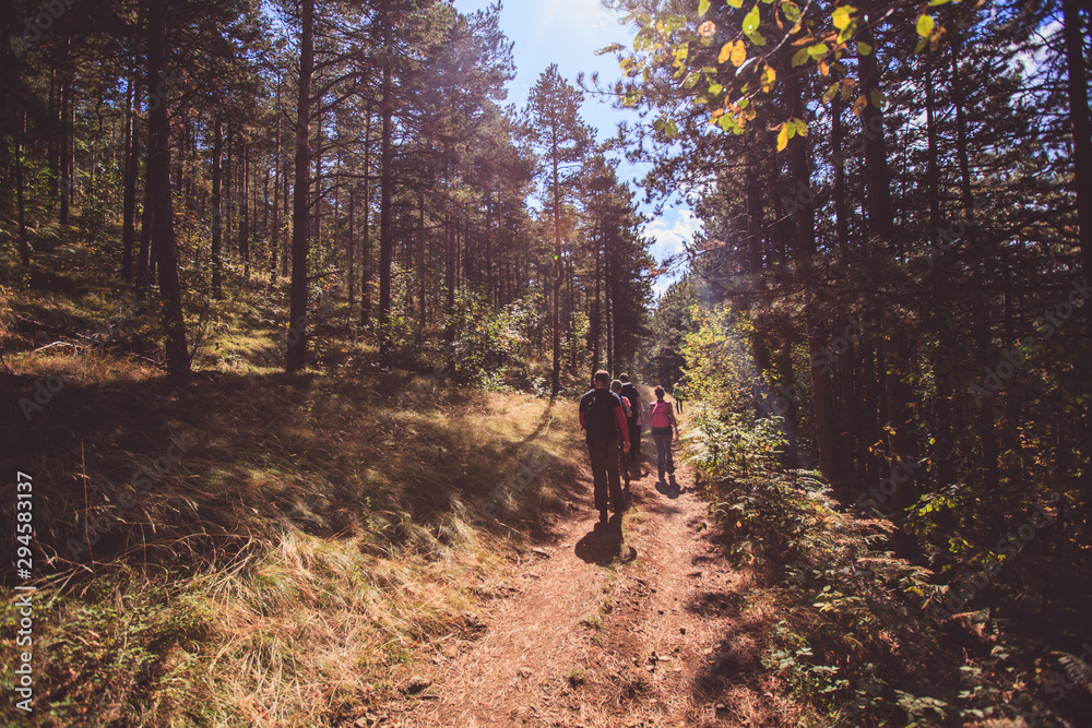 Rear view of unrecognizable people with backpack hiking in the nature