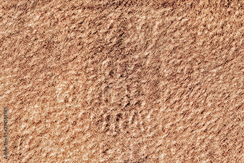 Wallpaper Mural Wood texture Torontodigital.ca