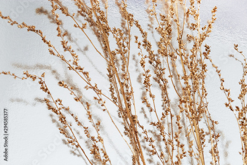 Creative golden painted herbarium grass. Autumn season concept. Gold autumn. Decoration plant on silver paper background with copy space.