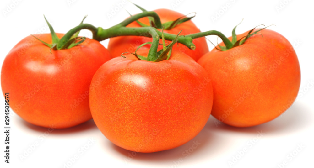 Four fresh juicy red bunch tomatoes on white background Four fresh juicy red bunch tomatoes on white background