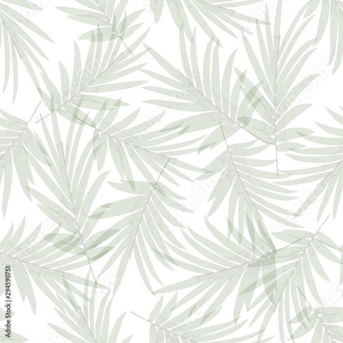 Fototapeta Naklejka Na Ścianę i Meble -  Tropical pattern background with palm leaves on white backdrop. Seamless green and white botanical backdrop. vector illustration.