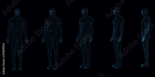 Set with wireframe of a human body turning sequentially. Front view. Polygonal man from blue lines on a dark background. Vector illustration.